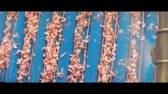 Машина для очистки креветок SEAPEELER FLEX(для Северной креветки) смотреть онлайн