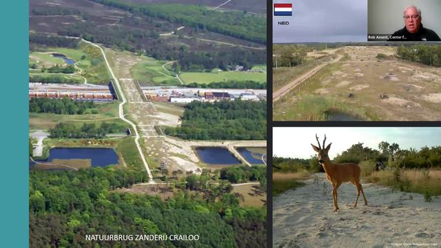 A global overview of wildlife crossings – keeping connectivity across roads for a variety of specie смотреть онлайн