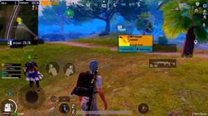 С золотой мк14 до ф6 (с рандомами)