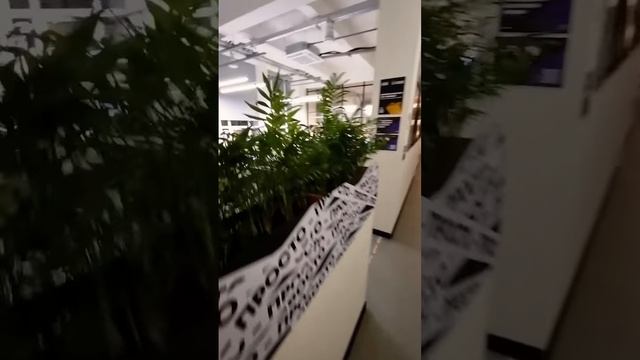 Бесплатный коворкинг в Питере смотреть онлайн