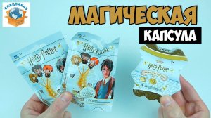 Вот Секрет! Гарри Поттер Магическая Капсула. Фигурки Распаковка Обзор | СПЕЦЗАКАЗ