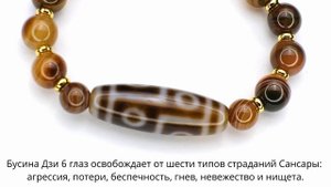 Бусина Дзи 6 глаз в браслете из коричневого агата