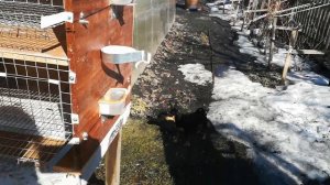 Душевая в бане своими руками