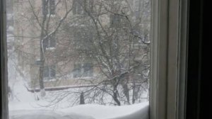 Владимир Трошин   Тишина 1958