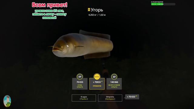 💥УГОРЬ ТРОФЕЙ НА ОСТРОГЕ💥СТРИМ-ВЫРЕЗКА💥Русская рыбалка 4💥 18+