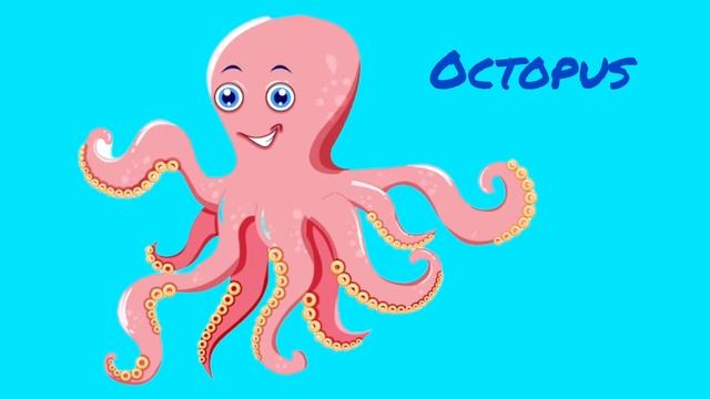 Sea animals in English. Морские животные на английском. İngilizce deniz hayvanları. смотреть онлайн