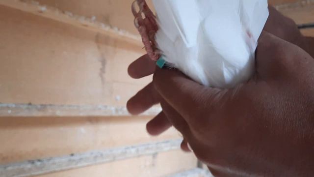 Голуби Иранцы (что делать?) 200923 смотреть онлайн