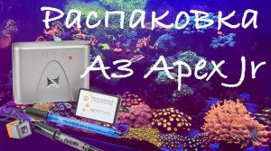 Распаковка А3 Апекс Джуниор / Unpacking Apex Jr Controller System / Мой морской аквариум / Море