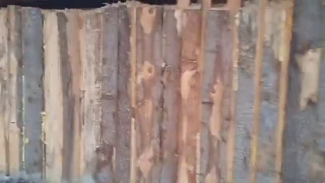 Самый бюджетный сарай из этого материала дешевле не бывает