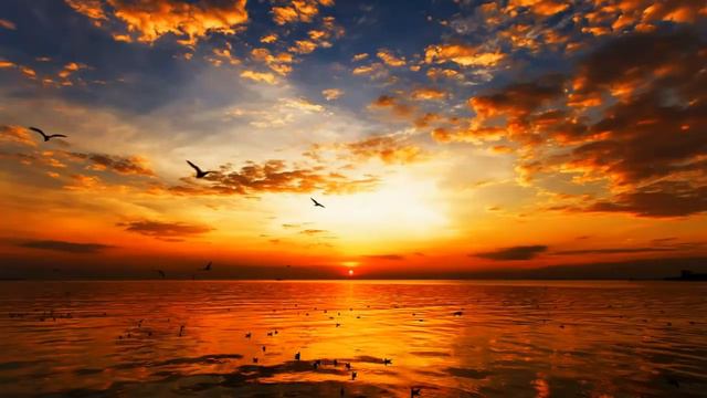 Кто вы есть смотреть онлайн