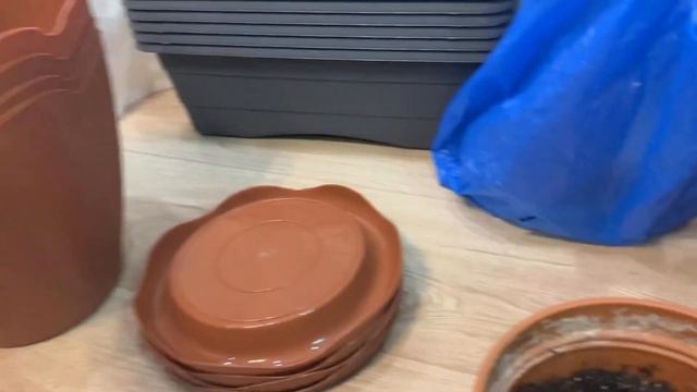 Vlog: Пересаживаю рассаду??? Лучшее средство для мытья дивана и стульев? Куда мы пропали? смотреть онлайн