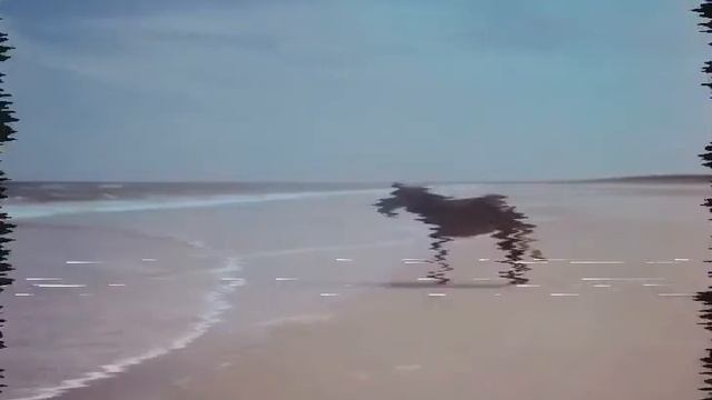 Зачем она берет мужские песня /лошадь стоит на берегу моря /скала / remix /1 час/ ШОК! /РЖАЧ ПОЛНЫЙ