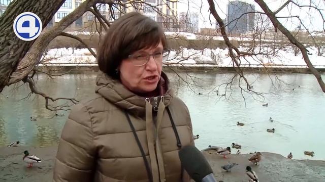 Почему нельзя кормить птиц на улице / Екатеринбург / Свердловская область смотреть онлайн