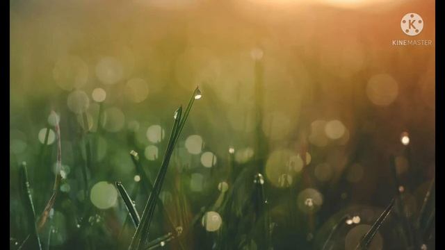 Путь Души. Расстаться с прошлым. смотреть онлайн