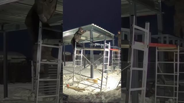 Автонавесы, беседки и террасы от Garden Cube смотреть онлайн