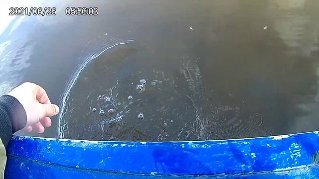 Рыбалка в Нарьян-Маре на спиннинг смотреть онлайн