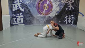 УДУШАЮЩИЕ ПРИЕМЫ: АНАКОНДА, ГИЛЬОТИНА И ОБРАТНАЯ АНАКОНДА