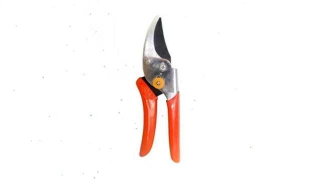 Секатор садовый с фиксатором (Грин Бэлт), 1 шт обзор 06-008 производитель Техноэкспорт ООО (Россия)