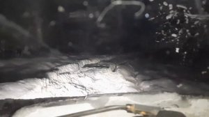 Нива в зимнем лесу, ночью