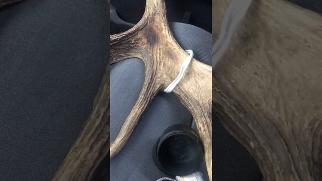 Покупки на Барахолке. смотреть онлайн