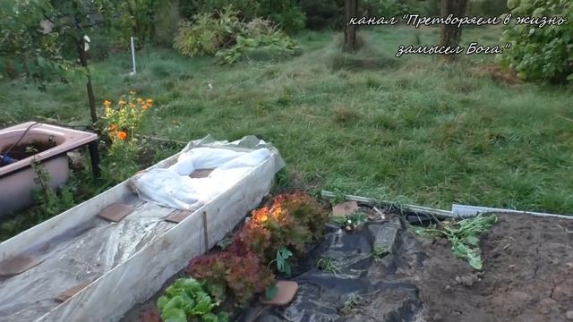 Черное золото-компост! Позаботьтесь о рассаде следующего сезона! смотреть онлайн