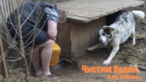 Чистим будки, приглашаем помогать
