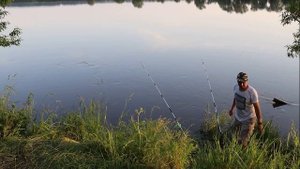 Ловля на донку. Рыбалка на Оке в летнюю жару в районе села Ловцы Полный пролет над Окой.