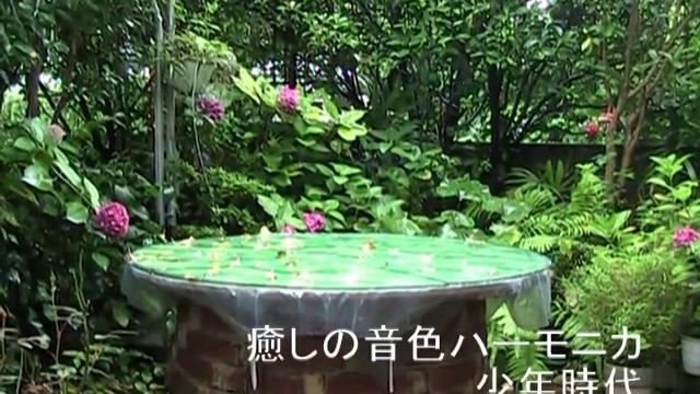 癒しの音色ハーモニカ　少年時代 смотреть онлайн