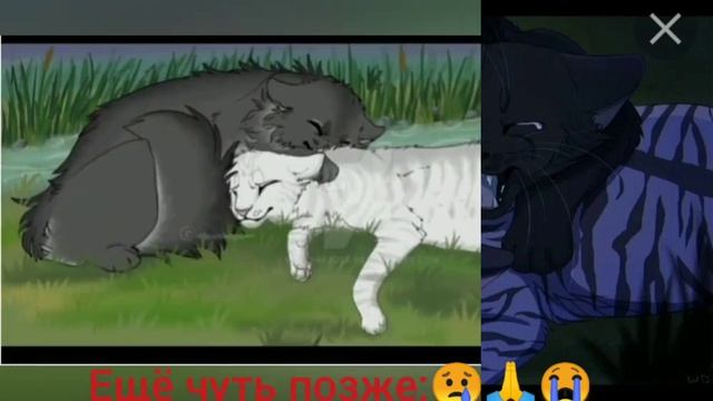 коты-воители эдит. серебрянка и крутобок.