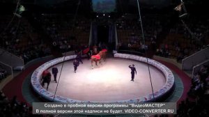 Жокеи Мозель"Дело было в Малахитовке"