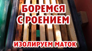 БОРЕМСЯ С РОЕНИЕМ ИЗОЛИРУЕМ МАТОК