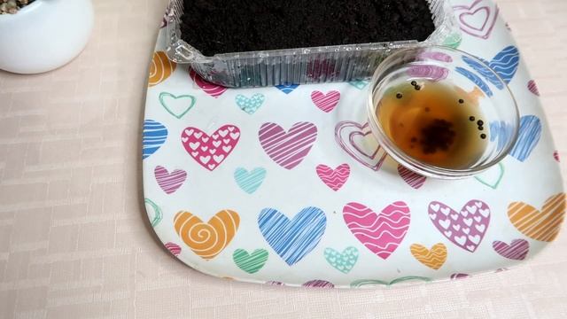 Как вырастить ДОМА черный перец из ПАЧКИ