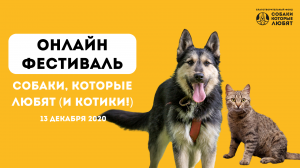 Онлайн фестиваль  Собаки которые любят
