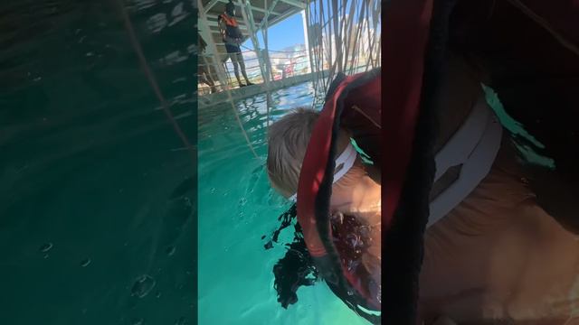 Света Марсель🌈 ПОД НАМИ СКАТ😱 смотреть онлайн