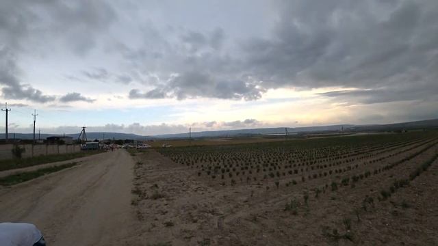 Море лаванды | Тургеневка |Открыли купальный сезон | пляж Вязовая роща | Крым смотреть онлайн