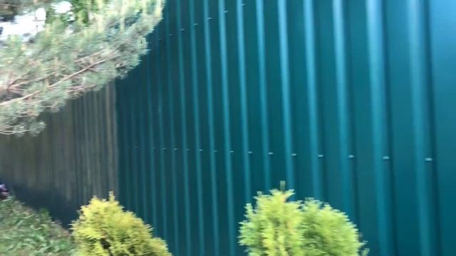 Сажаем Туи Смарагд по забору смотреть онлайн