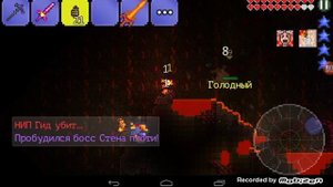 Бой со стеной плоти , закидал пчелонатами terraria