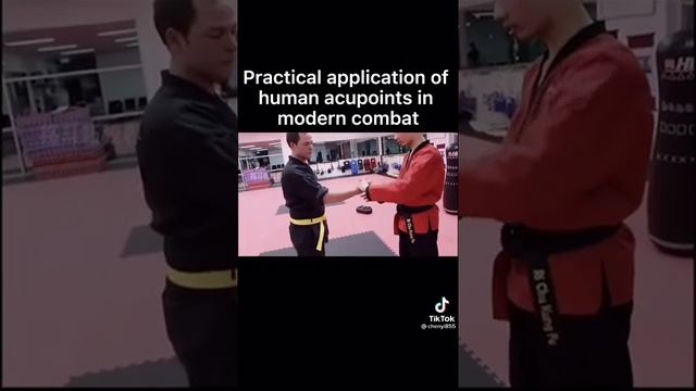 kung fu karate training china | kung fu karate training video | kung fu martial art training video