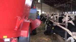 Кормление молочного КРС  Кормосмеситель, смеситель   кормораздатчик от Колнаг