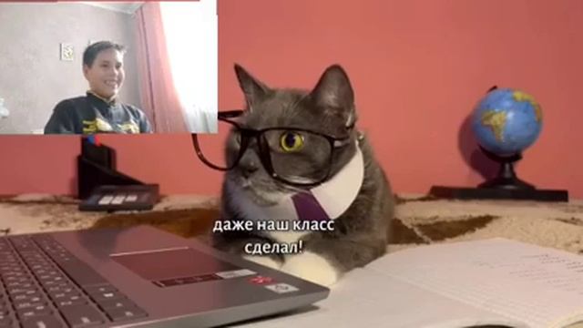 Реакция Если бы котики ходили в школу - майнкрафт смотреть онлайн