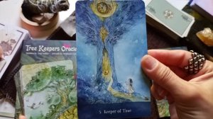 ☆New Release☆TREE KEEPERS ORACLE ? Review & Flipthrough @usgamessystems  #oraclecards #divination