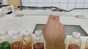 Заморозка масел 5W-30 ACEA A5/B5(A7/B7), ILSAC GF-5(6) на VHVI до минус 40°C и проверка текучести.