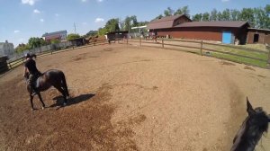 Верховая езда от первого лица