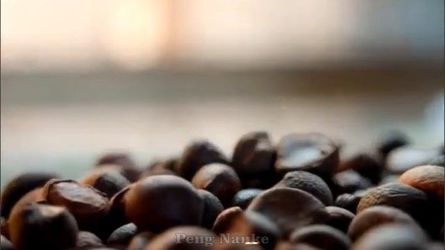 Process Of Making Vegetable Oil From Camellia Fruit @PengNankeVlog смотреть онлайн