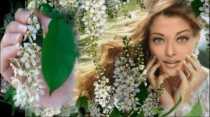 ЧЕРЕМУХА ВИКТОР РЫЖКОВ ЗАМЕЧАТЕЛЬНАЯ ПЕСНЯ