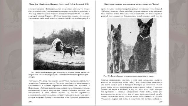 Часть 6 из 20. Перевод книги Макса фон Штефаница Немецкая овчарка в описании с иллюстрациями Глава смотреть онлайн