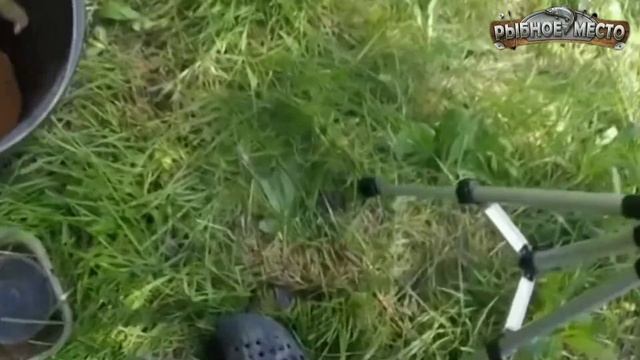 Как поймать карася в апреле начало мая? А ты знал если взять...