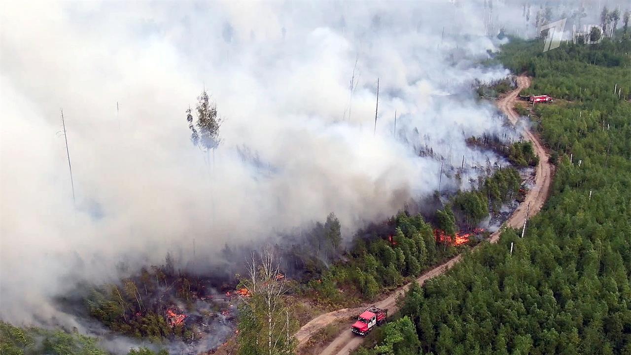 Все силы сейчас брошены на тушение лесных пожаров в Рязанской области
