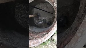 Гидродинамическая прочистка канализации