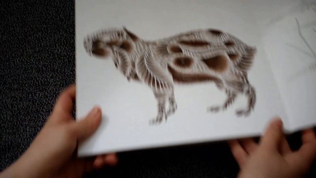 Раскрашенные картинки за май смотреть онлайн